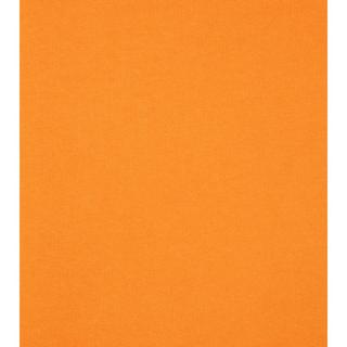 Colorful Standard  Felpa girocollo Colorful Standard Classic Organic burned orange 