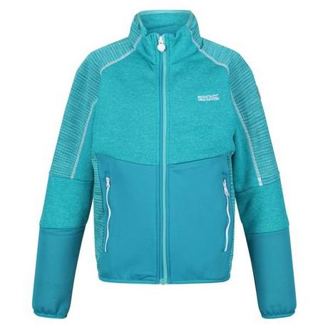 Regatta  Oberon V Softshelljacke 