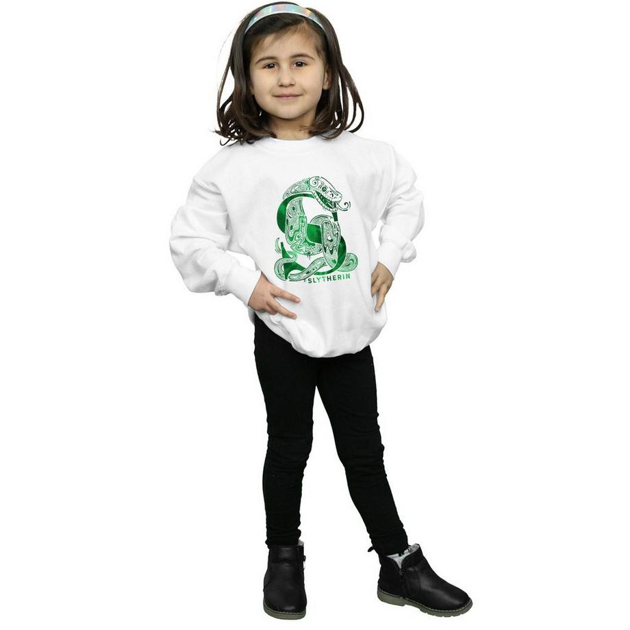 Harry Potter  Slytherin Sweatshirt 