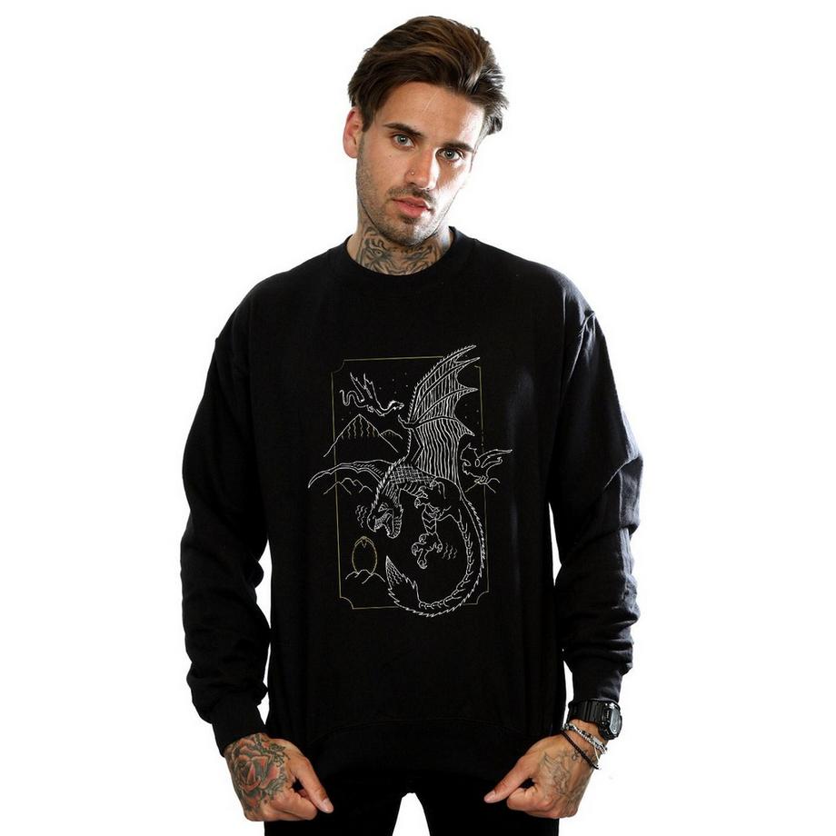 Harry Potter Drachen Sweatshirt  
