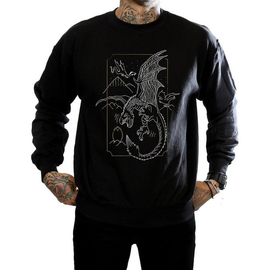 Harry Potter Drachen Sweatshirt  