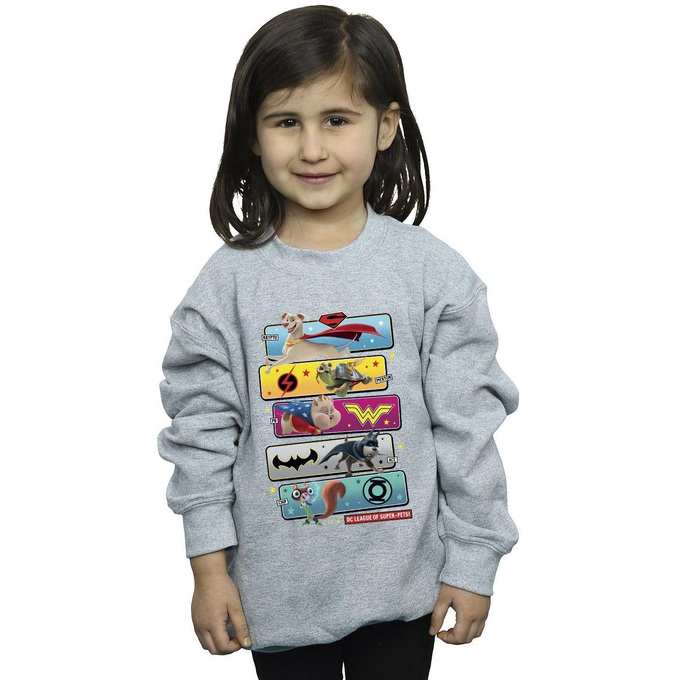 DC COMICS  DC League Of SuperPets Sweatshirt 