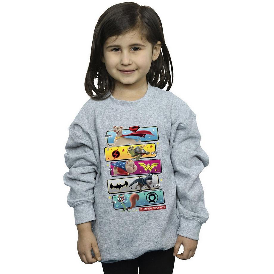 DC COMICS  DC League Of SuperPets Sweatshirt 
