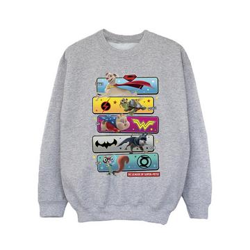 DC League Of SuperPets Sweatshirt