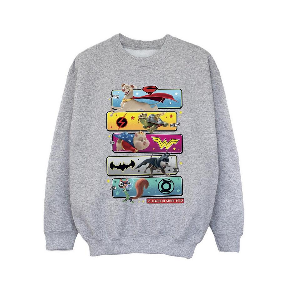 DC COMICS  DC League Of SuperPets Sweatshirt 