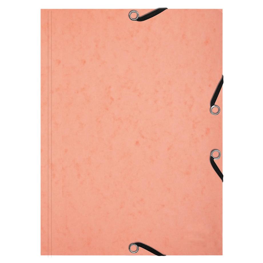 Exacompta Cartelle 3 lembi con elastici Aquarel + 25 schede bristol A5 - x 10  