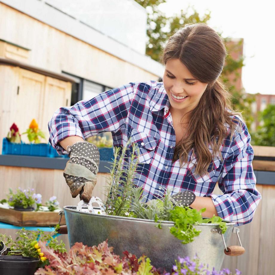 B2X Pflanztisch aus Holz  