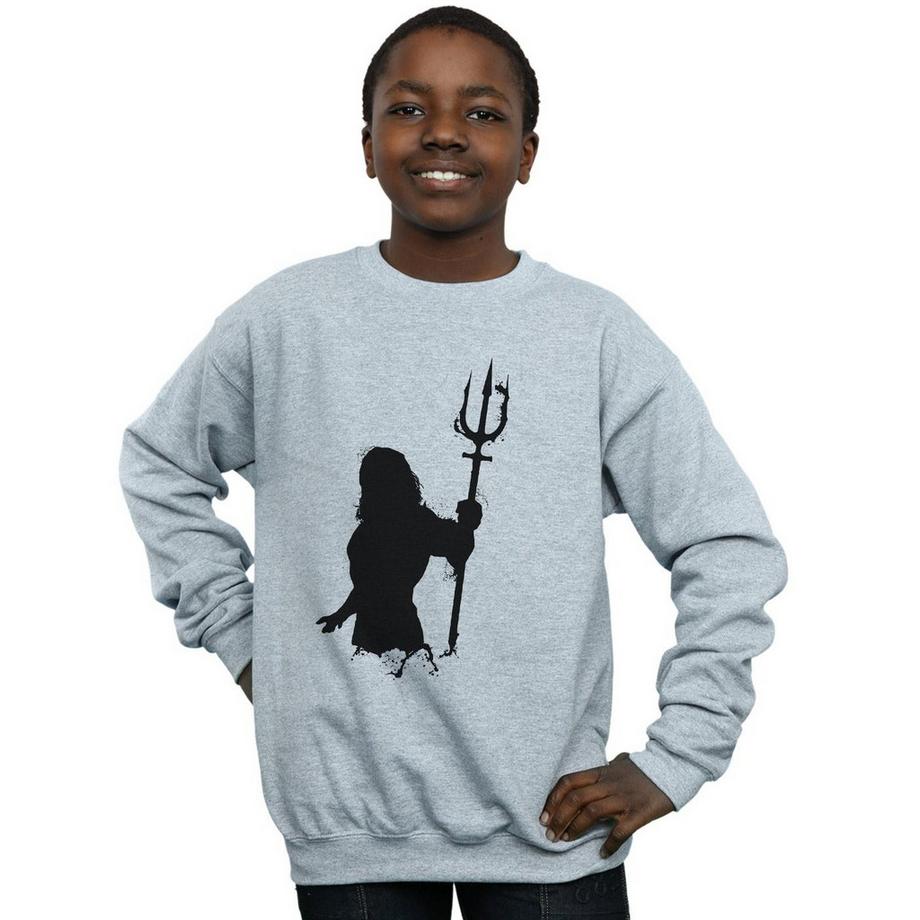 DC COMICS  Sweatshirt 