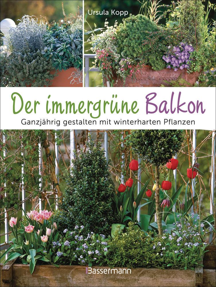 Der immergrüne Balkon. Ganzjährig gestalten mit winterharten Pflanzen Kopp, Ursula; Steinberger, Karlheinz (Fotografie) Gebundene Ausgabe 