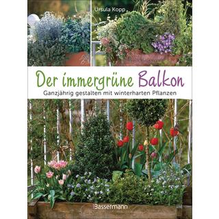 Der immergrüne Balkon. Ganzjährig gestalten mit winterharten Pflanzen Kopp, Ursula; Steinberger, Karlheinz (Fotografie) Gebundene Ausgabe 