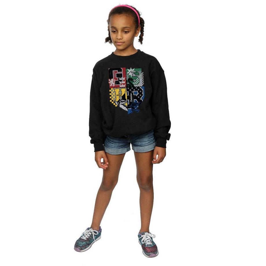 Harry Potter  Hogwarts Sweatshirt 