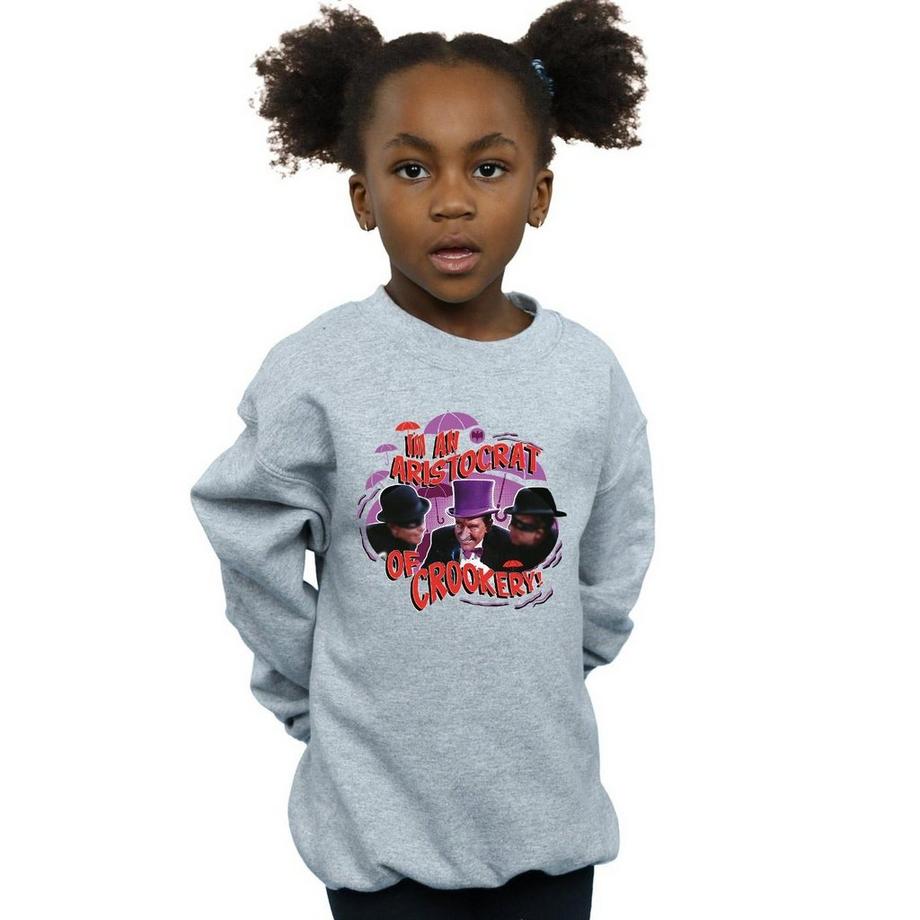 DC COMICS  Sweatshirt 
