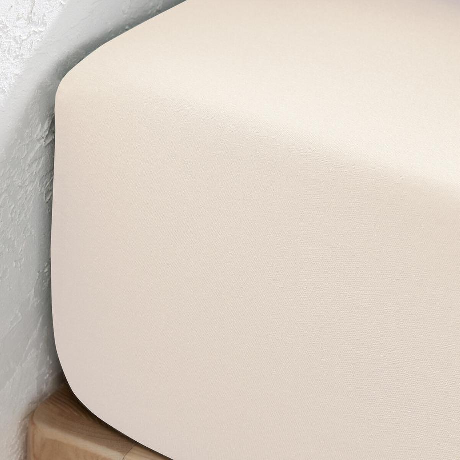 La Redoute Intérieurs Scenario Baumwolljersey Fixleintuch  