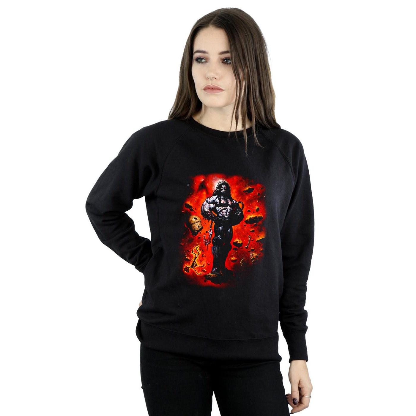 DC COMICS  Sweatshirt 