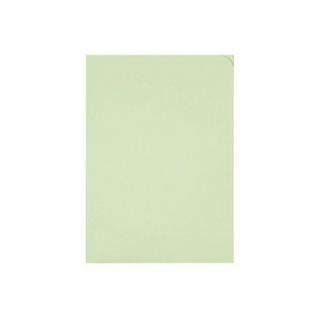 elco ELCO Sichthülle Ordo Discreta A4 29466.61 grün, ohne Fenster 100 Stück  