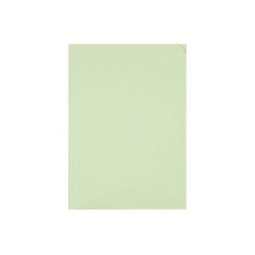 ELCO Sichthülle Ordo Discreta A4 29466.61 grün, ohne Fenster 100 Stück