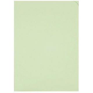 elco ELCO Sichthülle Ordo Discreta A4 29466.61 grün, ohne Fenster 100 Stück  