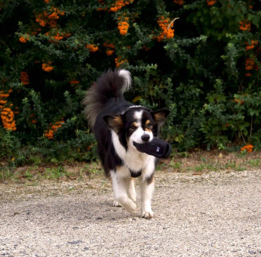 Redoggo  Dummy de alimentation 