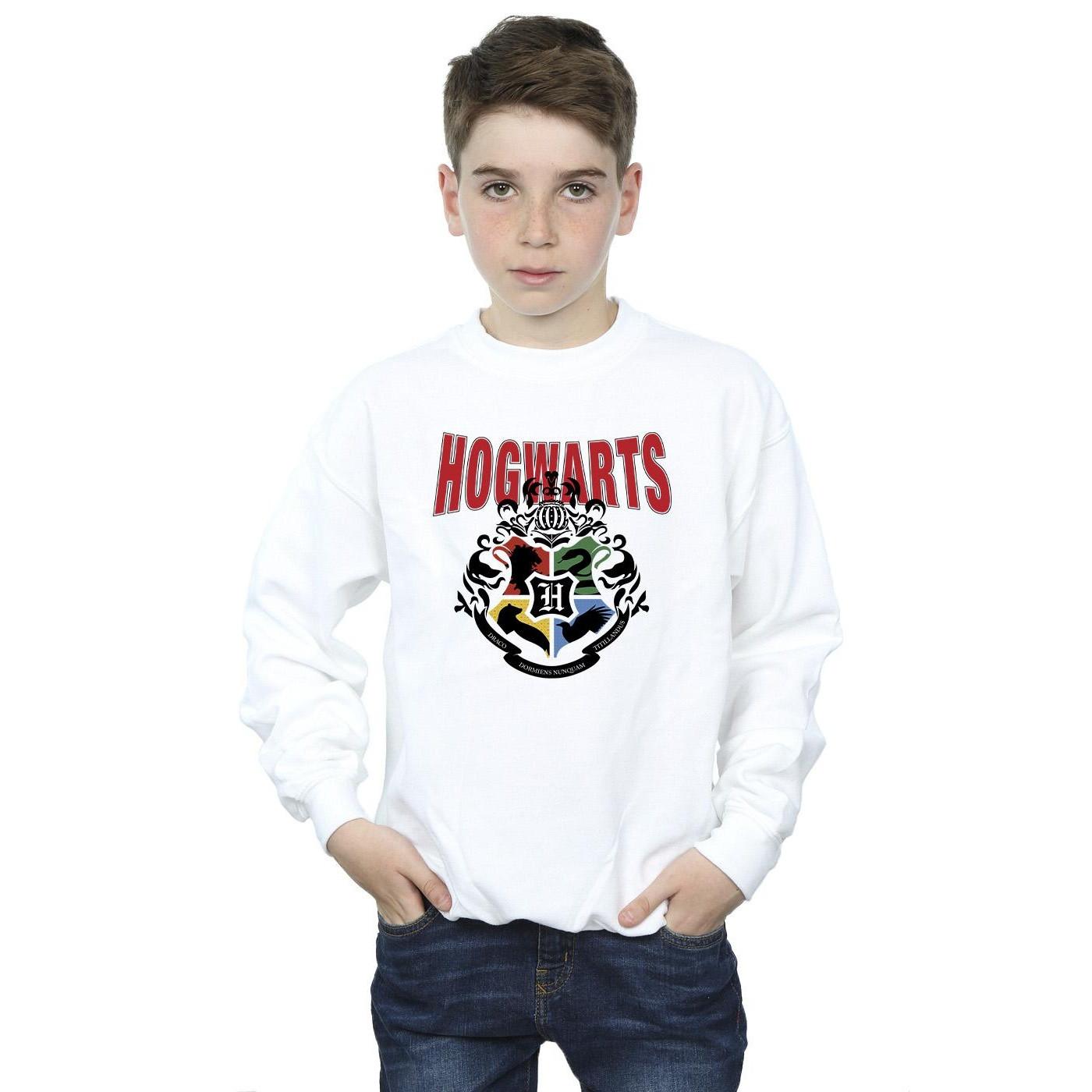 Harry Potter  Hogwarts Sweatshirt 