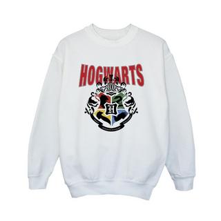 Harry Potter  Hogwarts Sweatshirt 