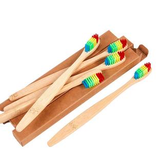 B2X  Brosse à dents en bambou - Arc-en-ciel 