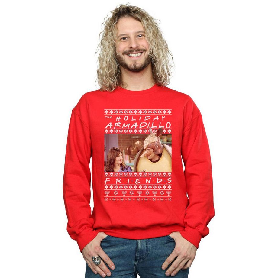 Friends Holiday Armadillo Sweatshirt  