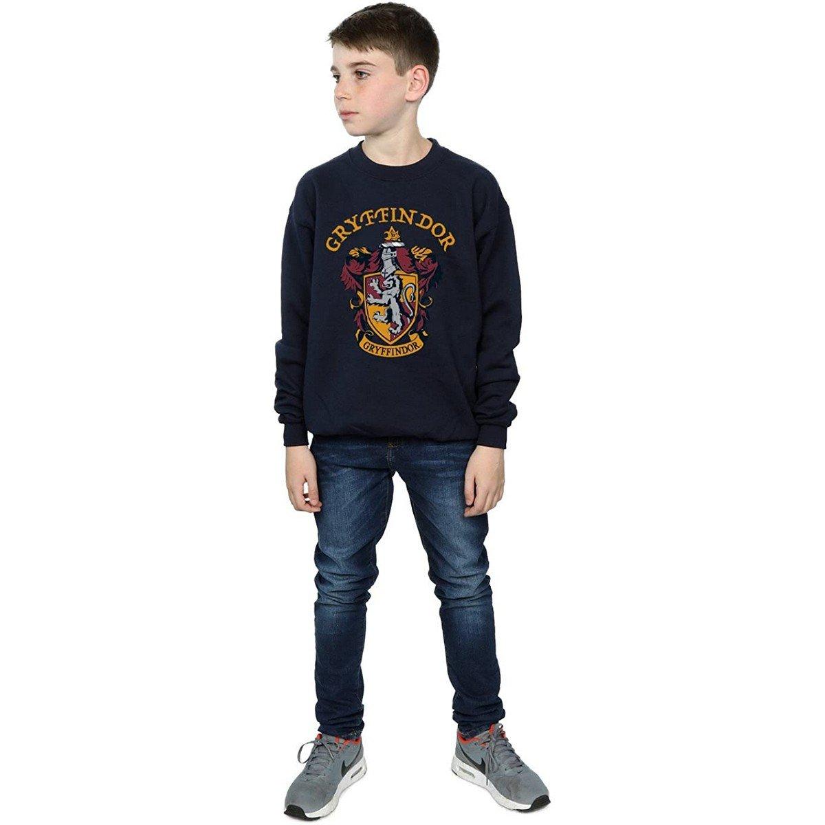 HARRY-POTTER  Sweatshirt 