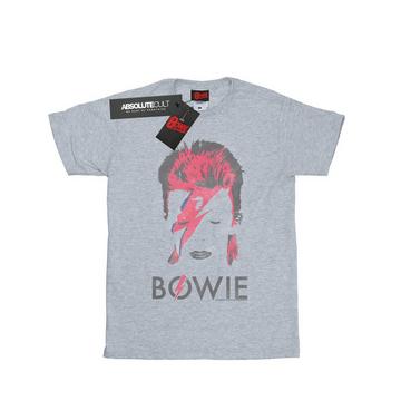 Aladdin Sane TShirt