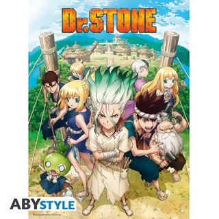 Abystyle Poster - Flat - Dr. Stone - Gruppe  