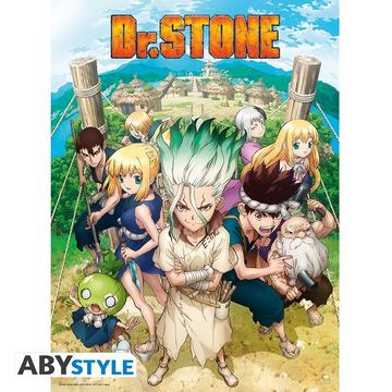Poster - � plat - Dr. Stone - Groupe