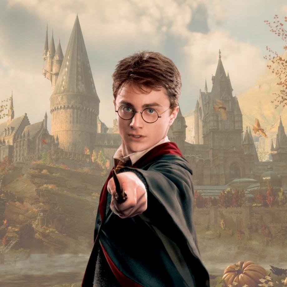 Noble Collection  Harry Potter - Bacchetta Magica Harry Potter Replica 35 cm 