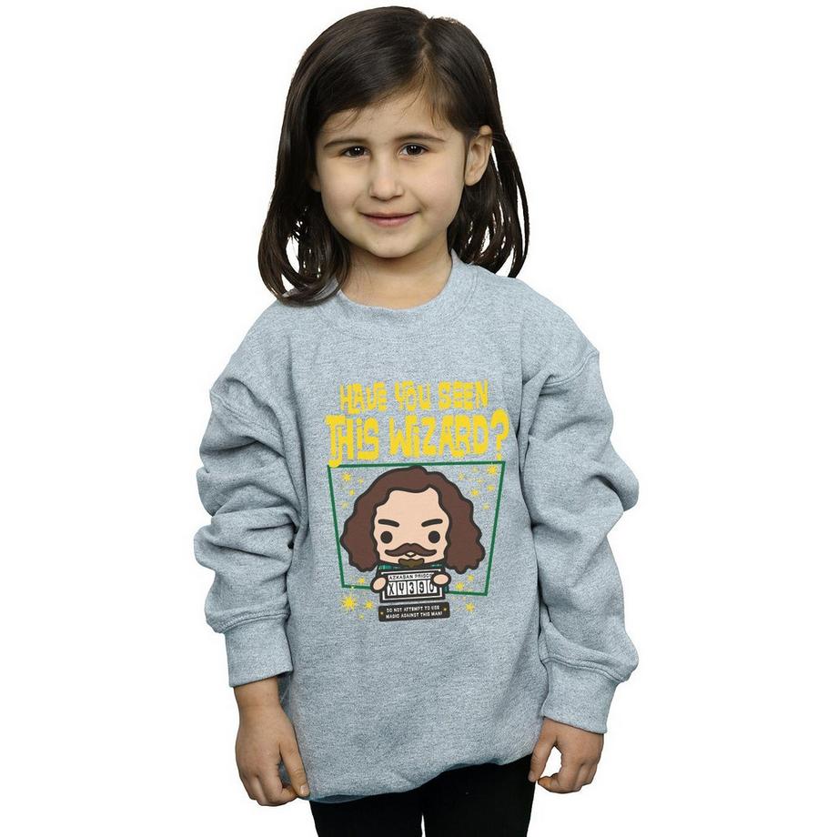 Harry Potter  Sirius Black Azkaban Junior Sweatshirt 