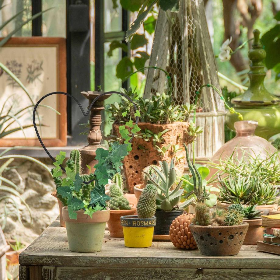 B2X Unterstützung für Cardio-Klettern, 2er-Set  