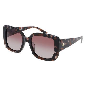 Lunettes de soleil polarisées de première qualité avec étui