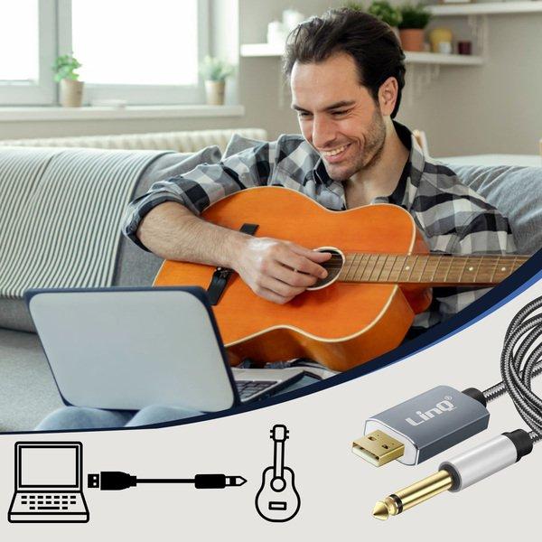 Avizar  Câble Audio USB / Jack 6.35mm LinQ Gris 