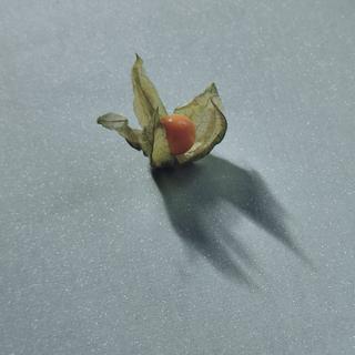 Fleur de Soleil Nappe enduite ronde ou ovale Pailletée  