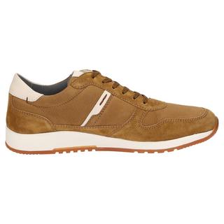 Sioux  Sneaker Rojaro-700 