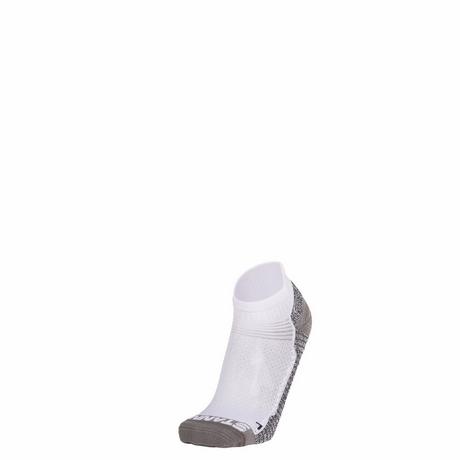 Stannol  socken prime quarter 