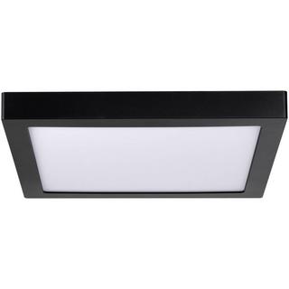 Paulmann WallCeiling Abia LED-Panel 300x300mm 22W 230V Kunststoff  