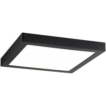 Panneau LED WallCeiling Abia 300x300mm 22W mat 230V plastique