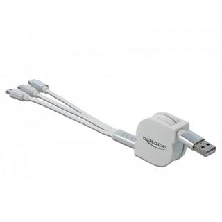 DeLock  85850 cavo USB 0,98 m USB 2.0 USB A USB C/Micro-USB B/Lightning Argento, Bianco 