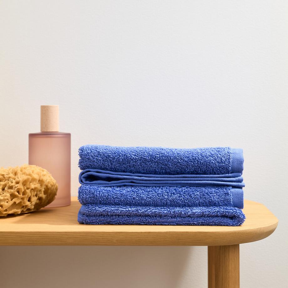 La Redoute Intérieurs Set mit 4 Gästehandtüchern aus Frottee 500g/m2  