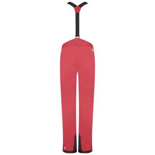 Dare 2B  Pantalon de ski EFFUSED 