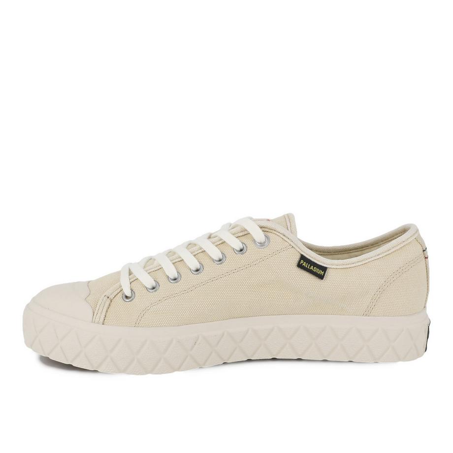 Baskets palla ace
