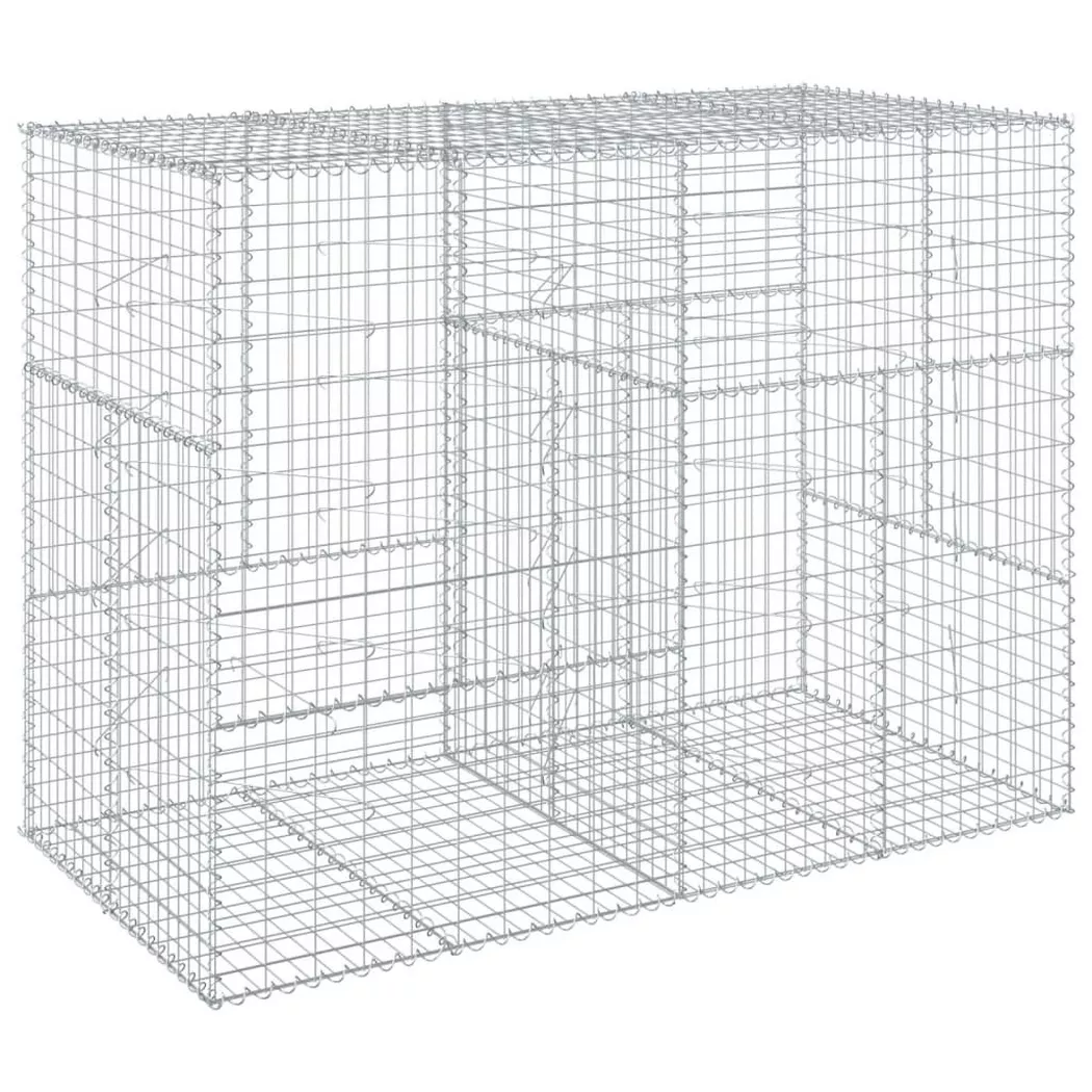 VidaXL - Panier gabion fer, One Size, Argent