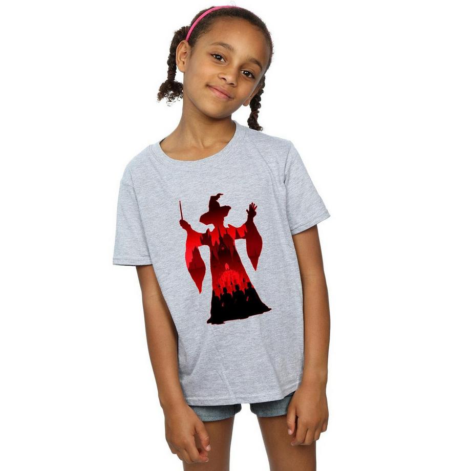 Harry Potter  TShirt 