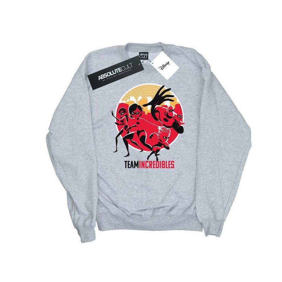 Disney  Incredibles 2 Team Incredibles Sweatshirt 