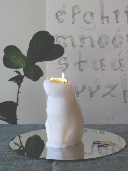 PyroPet PyroPet Kisa  