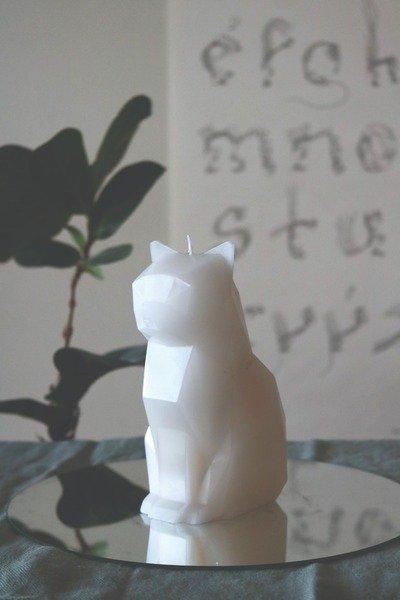 PyroPet PyroPet Kisa  