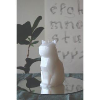 PyroPet PyroPet Kisa  